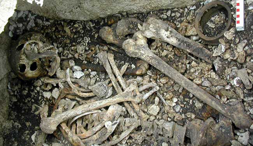 bones-found